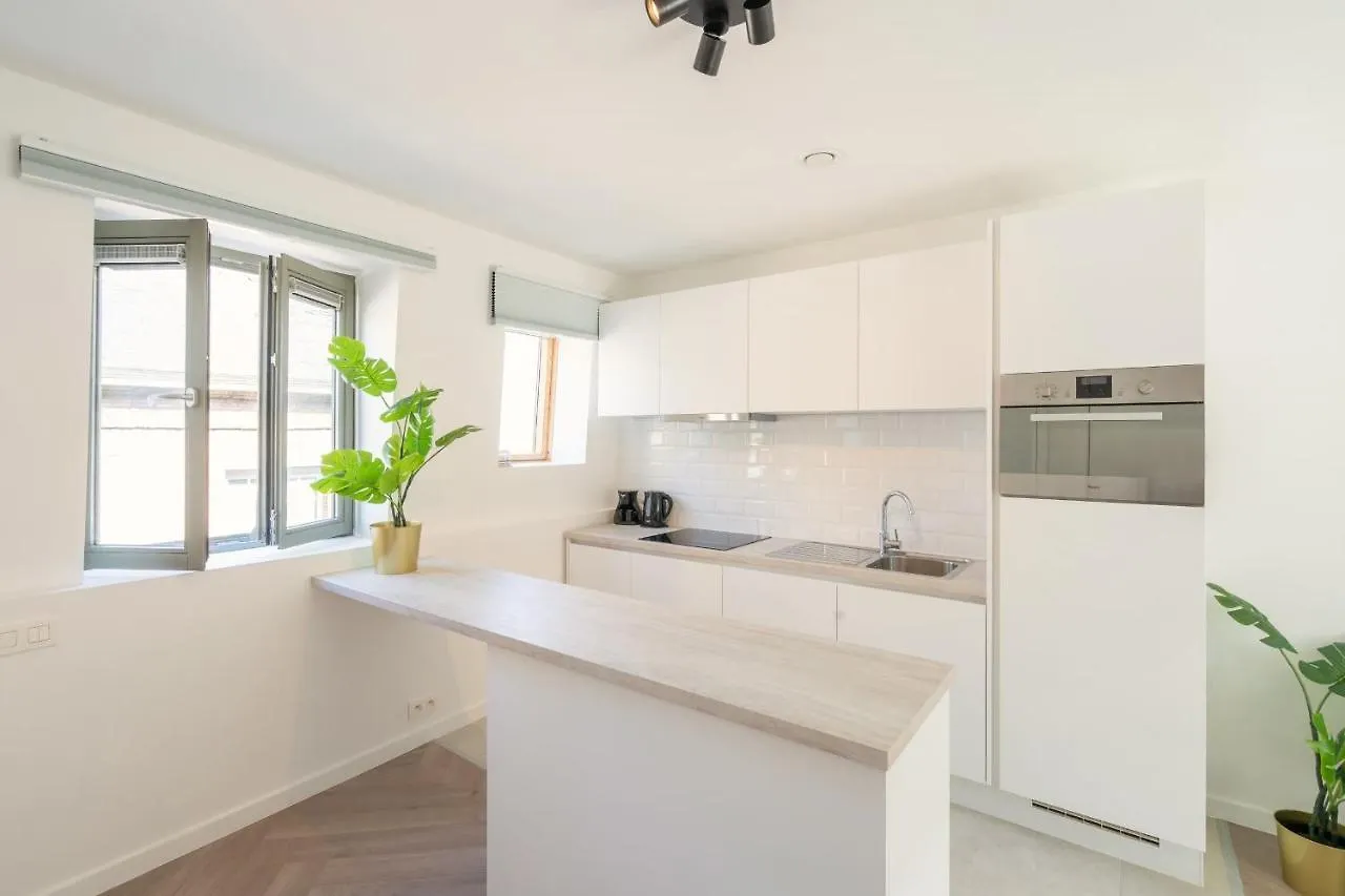 Apartmán City Center Loft Residence Antverpy