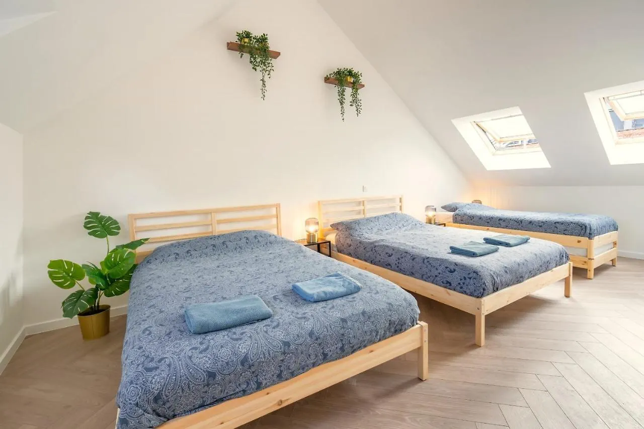 City Center Loft Residence Antverpy 0*,
